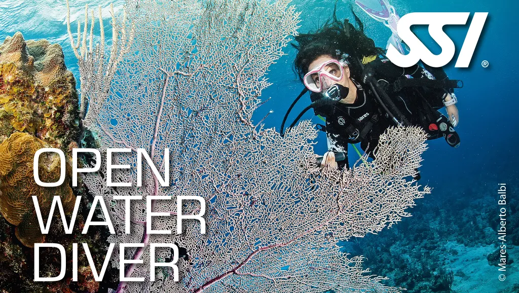 Open Water Diver