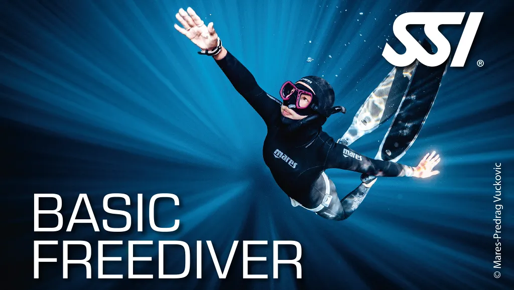 Basic Freediver