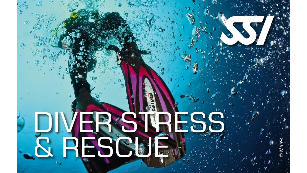 Stress & Rescue