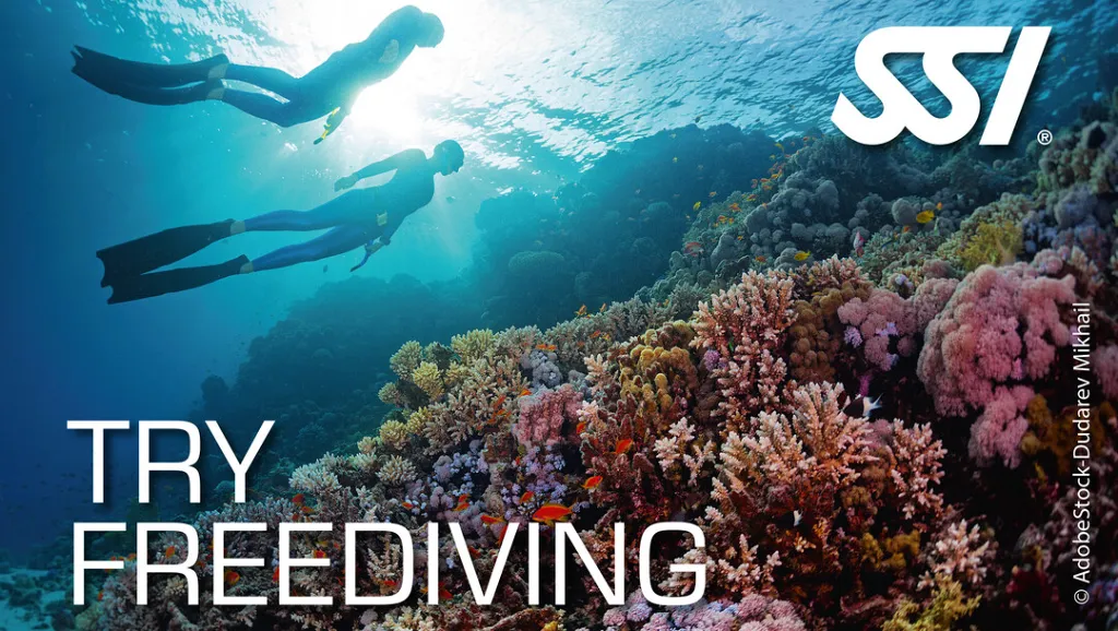 Try Freediving