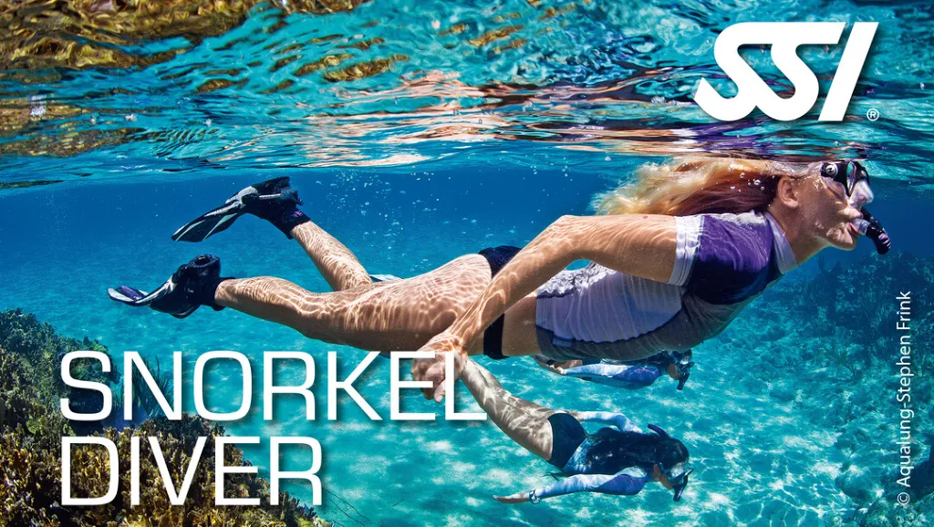 Snorkel Diver