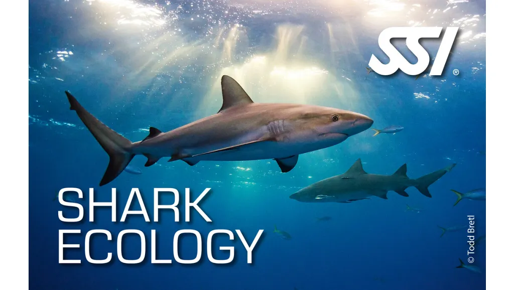 Ecologia degli Squali, Shark Ecology