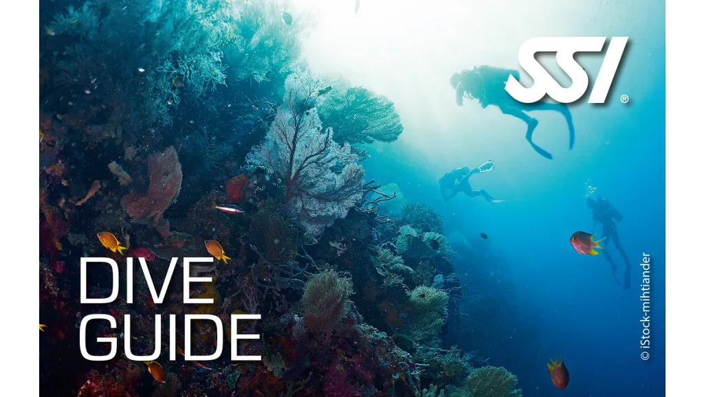 Guida Subacquea, Dive Guide (Pro not Active)