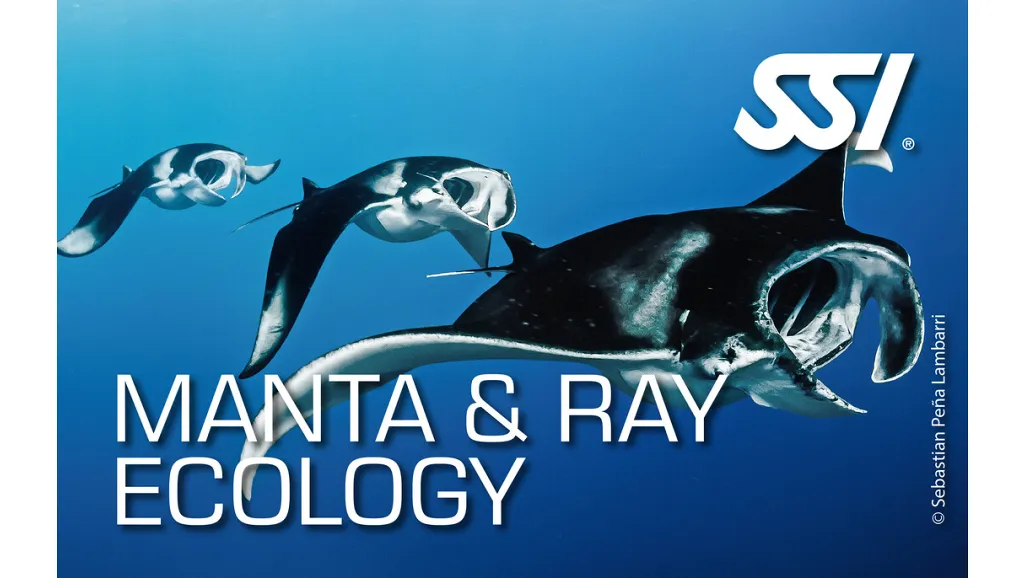 Ecologia Mante e Razze, Manta & Ray Ecology