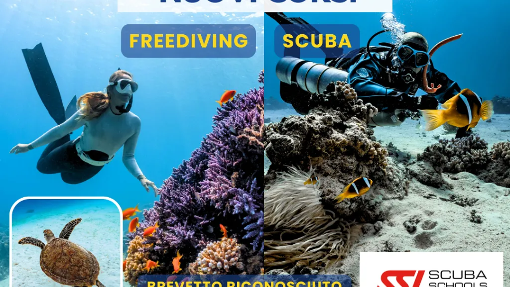 Presentazione nuovi corsi Freediving e SCUBA