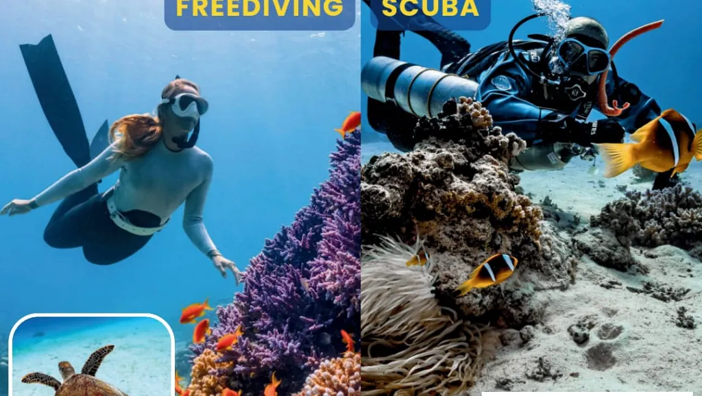 Presentazione nuovi corsi Freediving e SCUBA