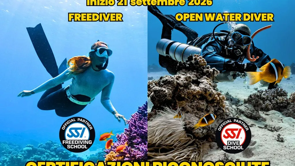 Corsi Autunnali Freediving e SCUBA