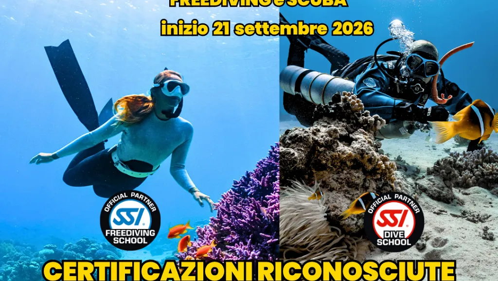 Corsi Autunnali Freediving e SCUBA